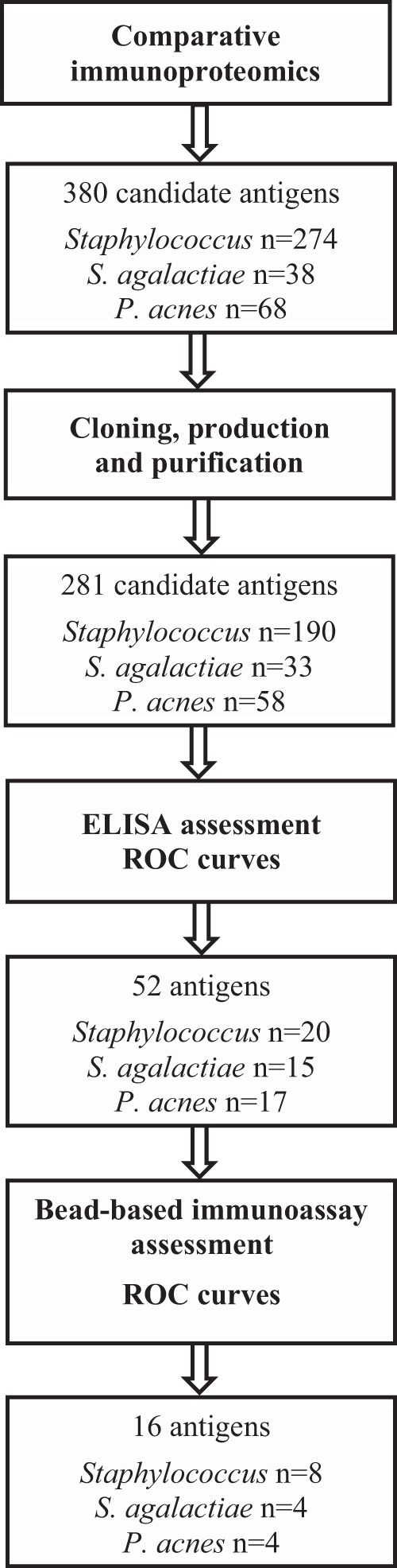 FIG 1