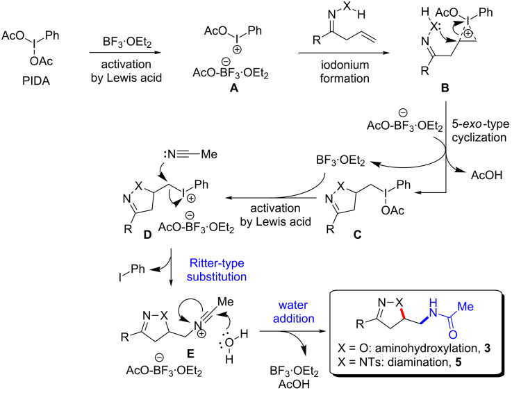 Scheme 4