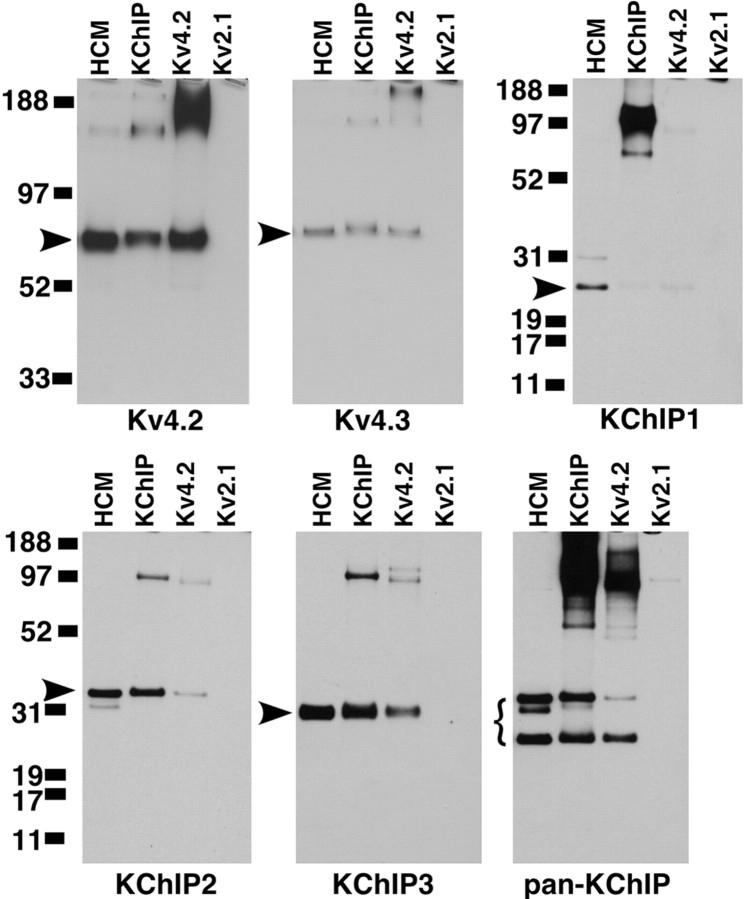 
Figure 10.
