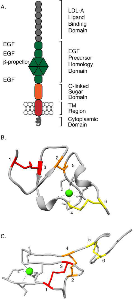 Figure 4: