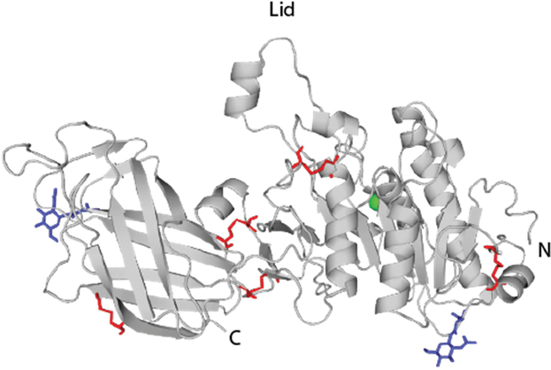 Figure 3: