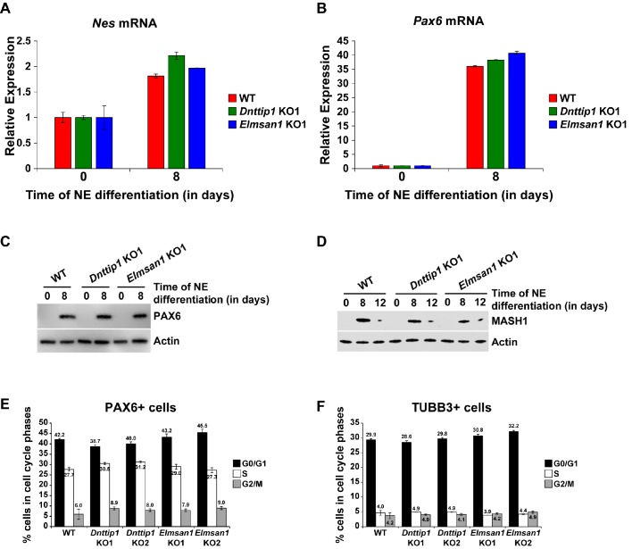 Figure 2—figure supplement 1.
