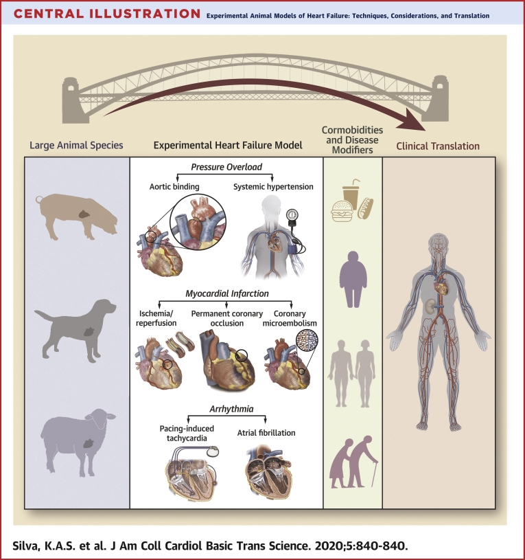 Central Illustration