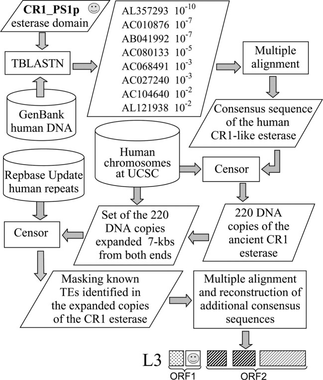 Fig. 5.