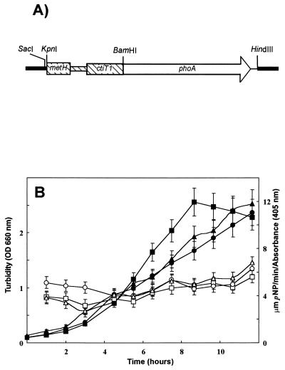 FIG. 5