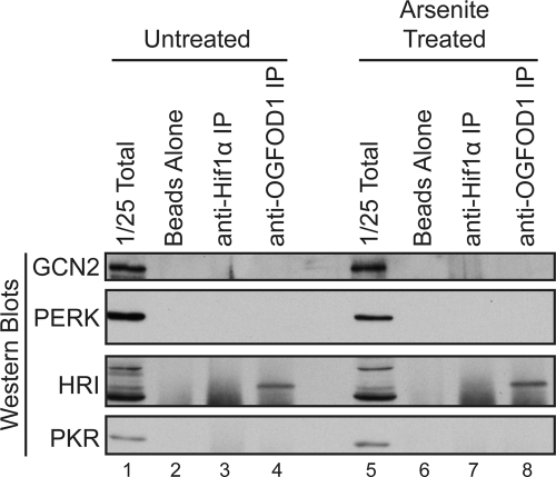 FIG. 8.