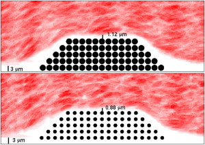 Figure 10