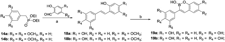 Scheme 3