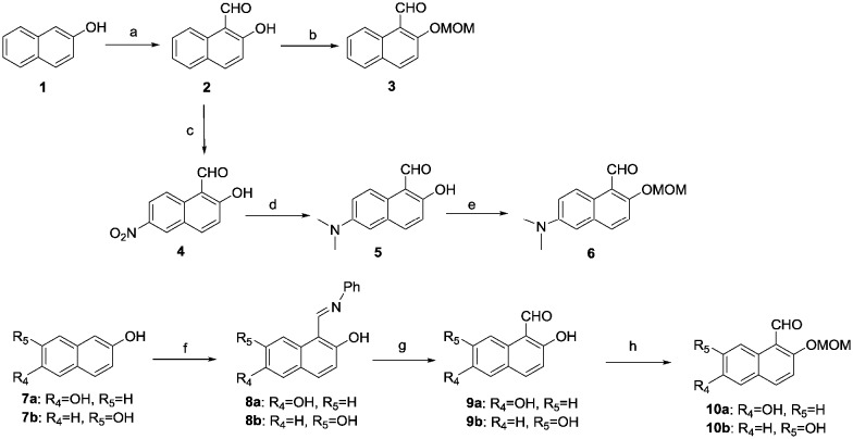 Scheme 1