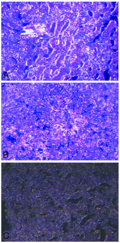 Fig 3.