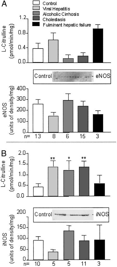 Fig 1.