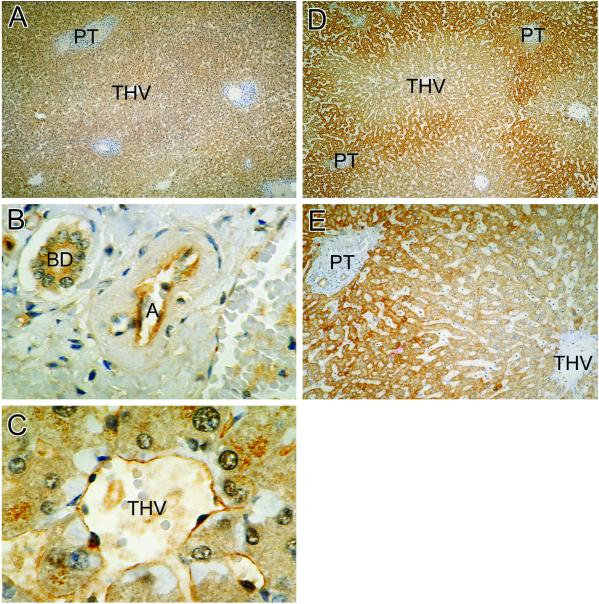 Fig 2.