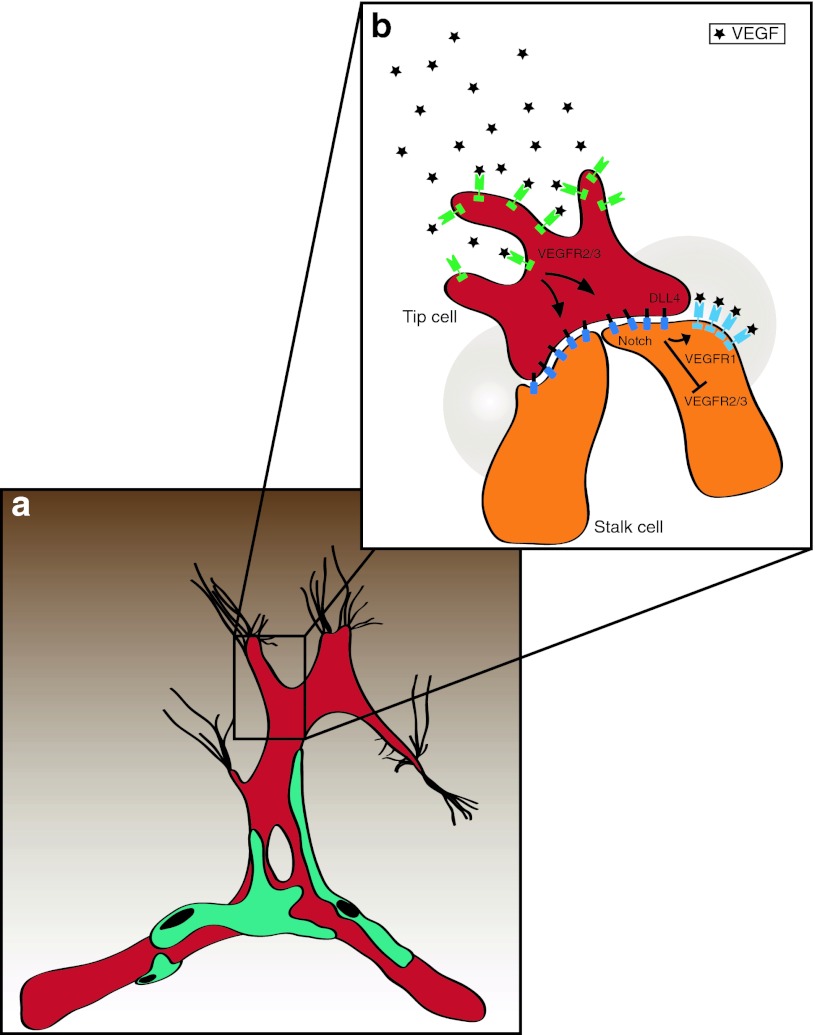 Fig. 2