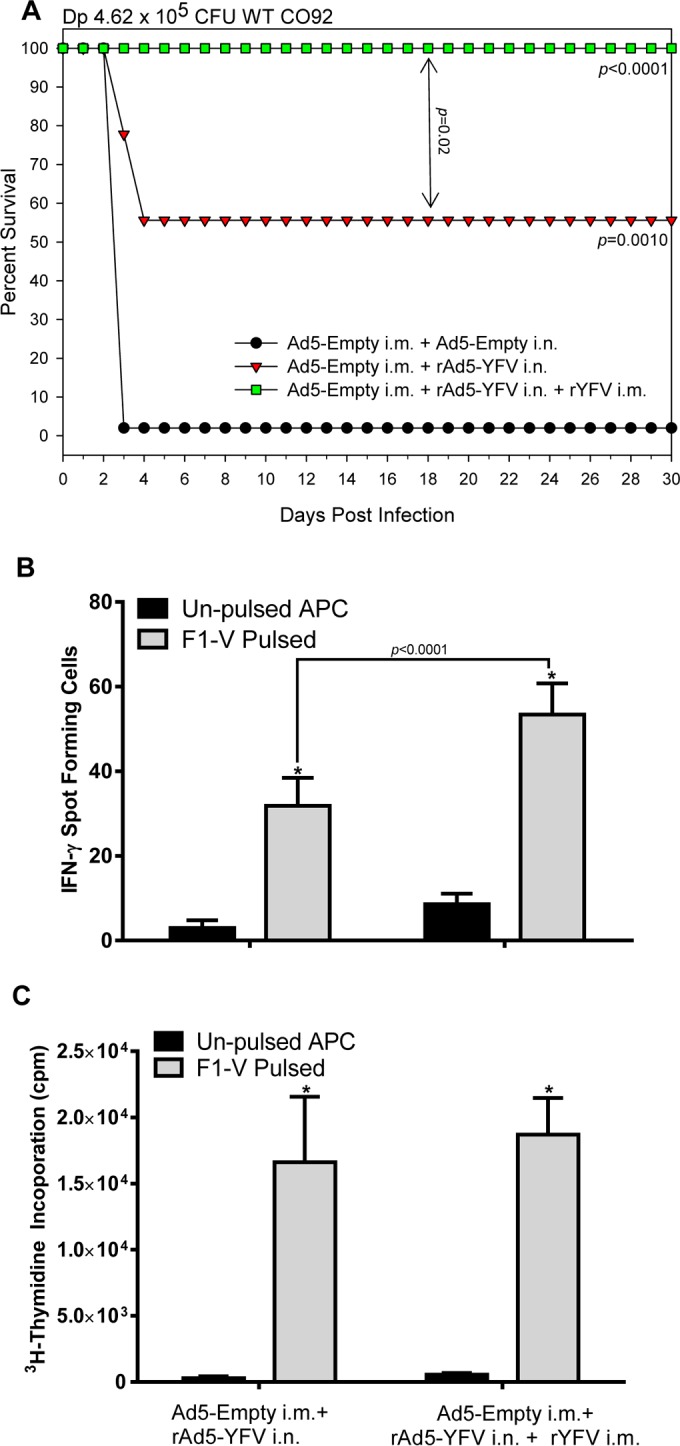 FIG 4