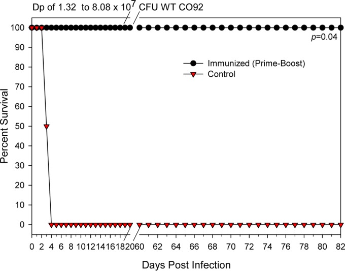 FIG 7