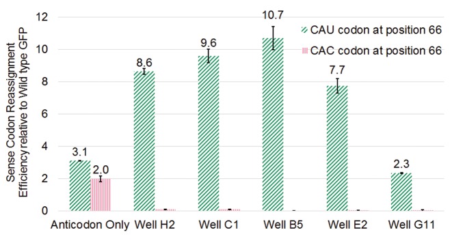 Figure 5.