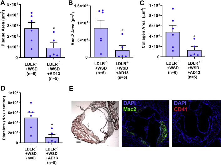 Figure 6