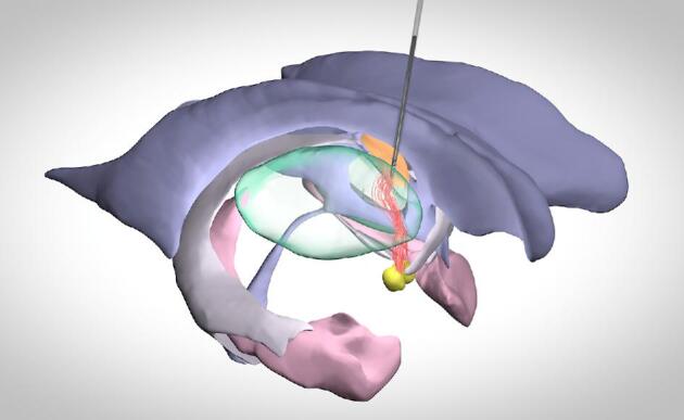 FIGURE 1.