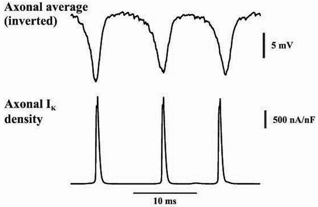 Fig. 6