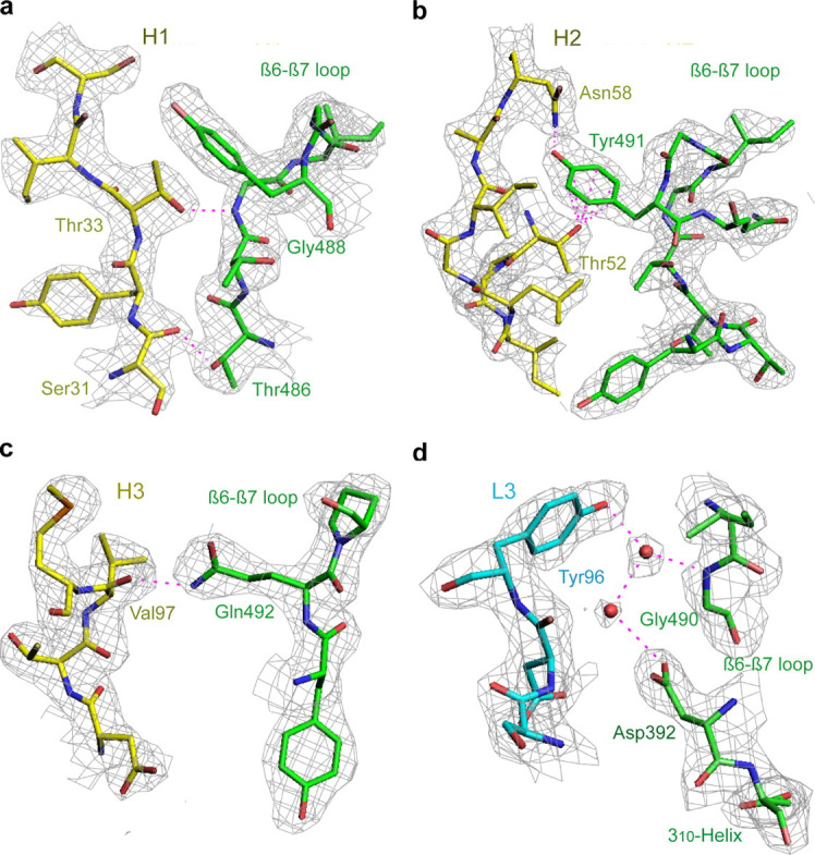 FIGURE 3