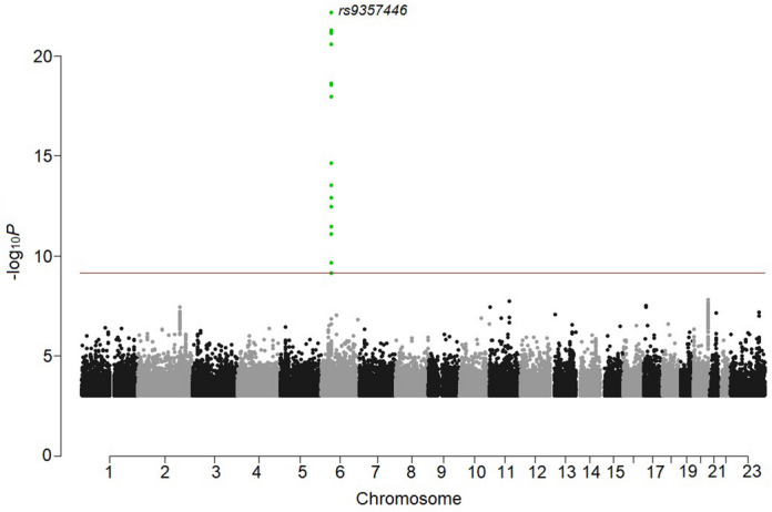 Figure 1