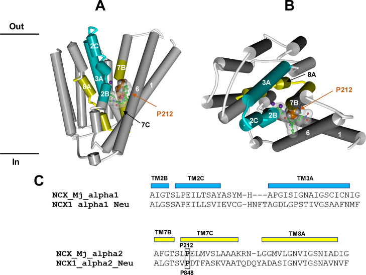 Figure 10