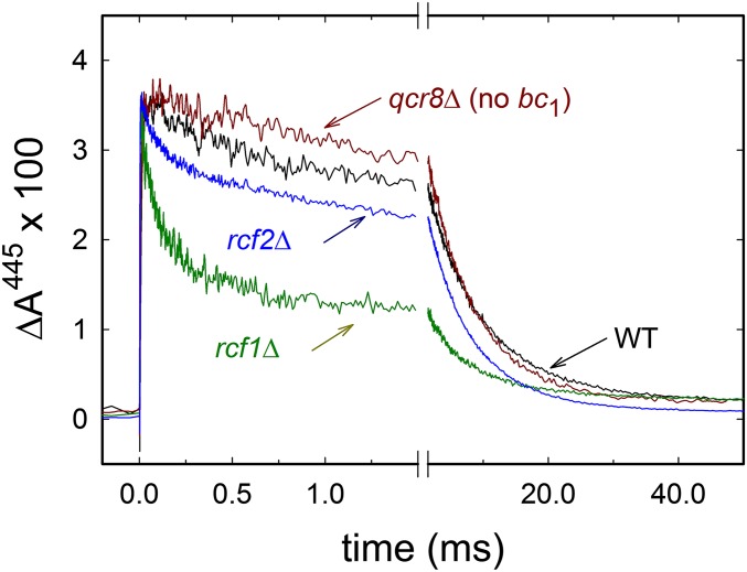 Fig. 3.