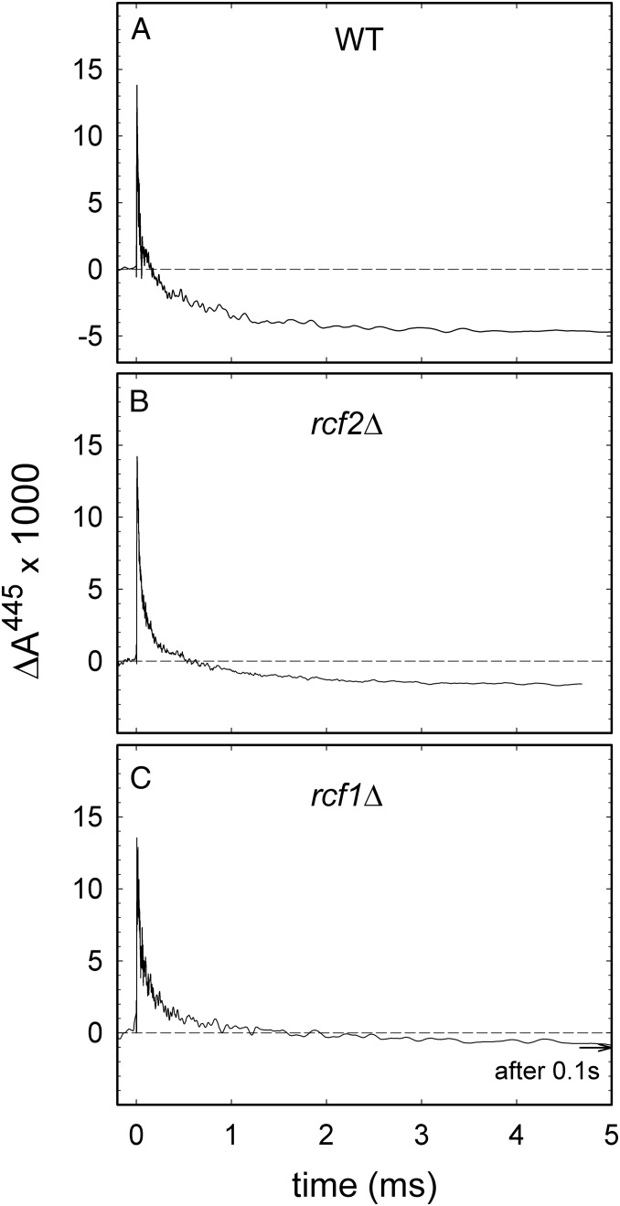 Fig. 7.