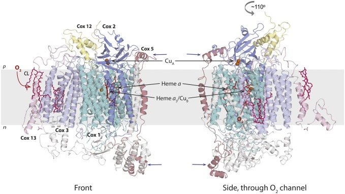 Fig. 1.