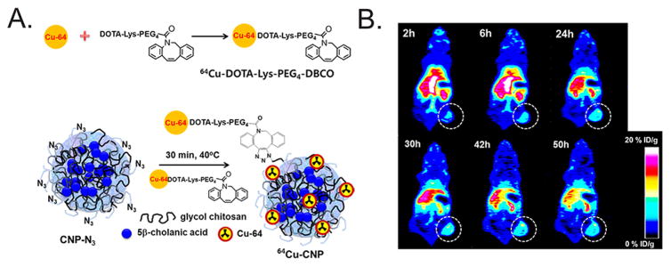 Figure 14