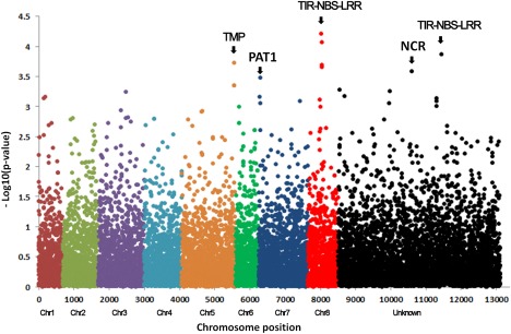 Figure 6