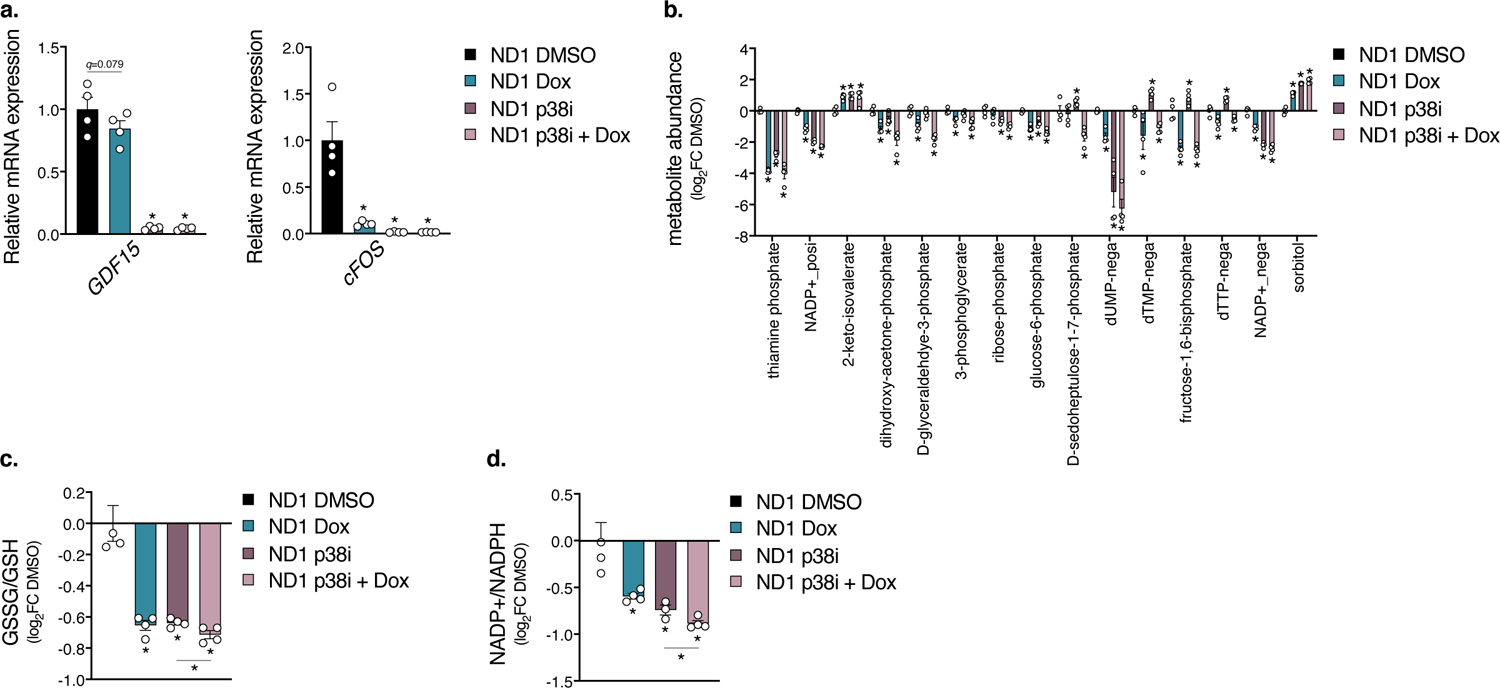 Extended Data Fig. 6