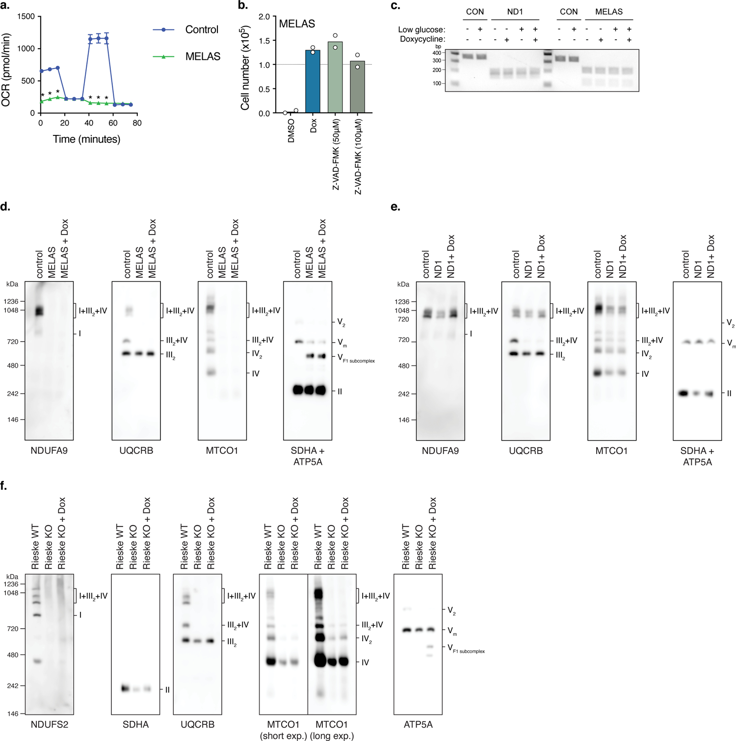 Extended Data Fig. 1