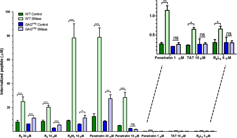 Fig. 1