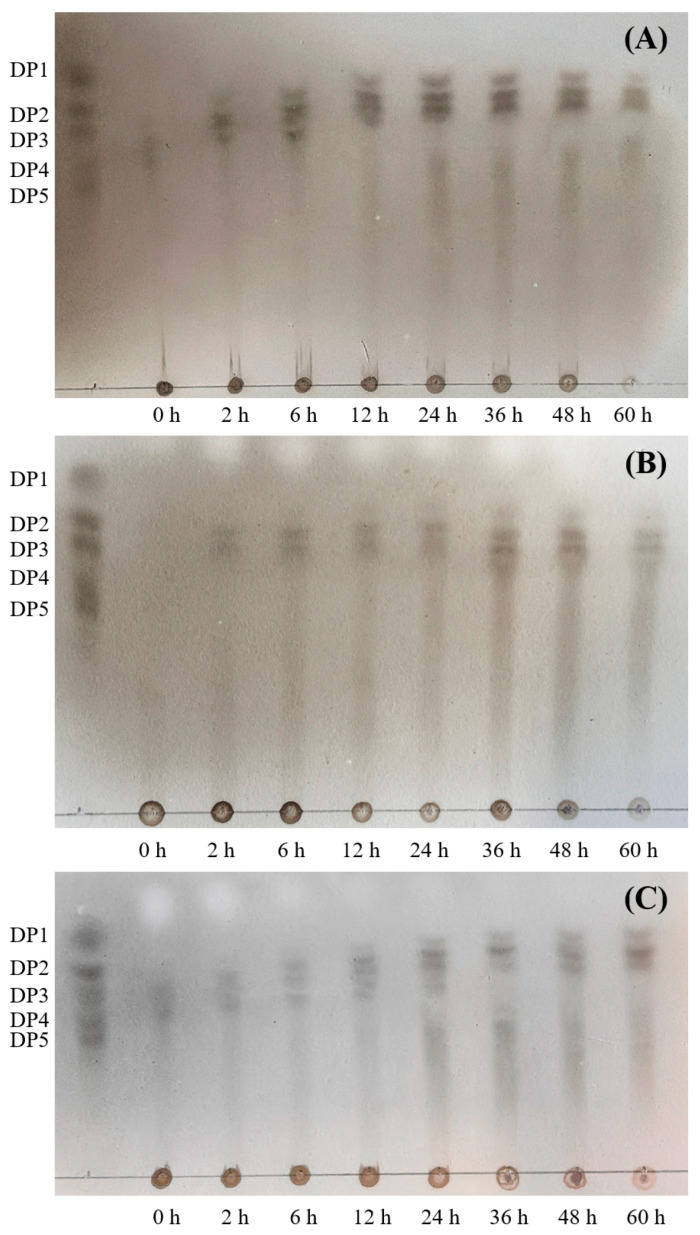 Figure 12