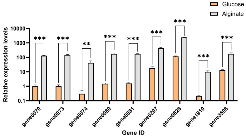 Figure 13