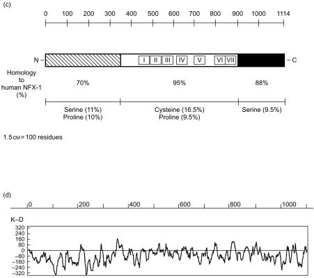 Figure 1 (c)