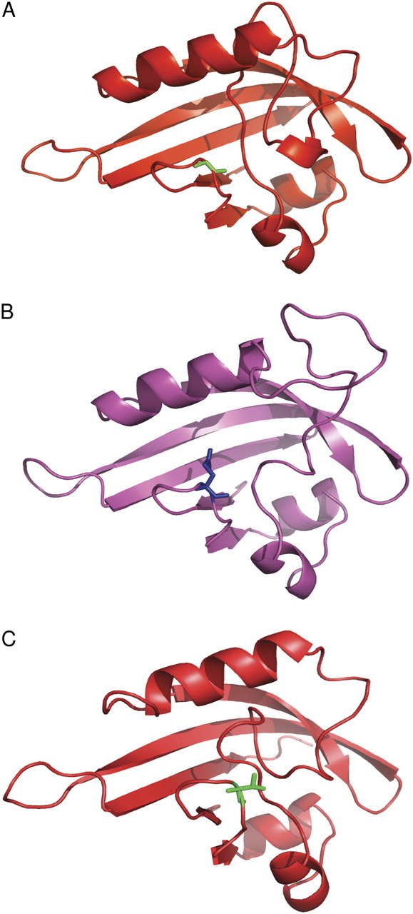 Fig. 10.