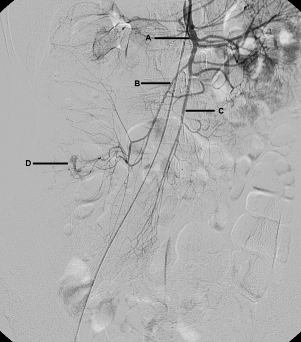 Figure 3