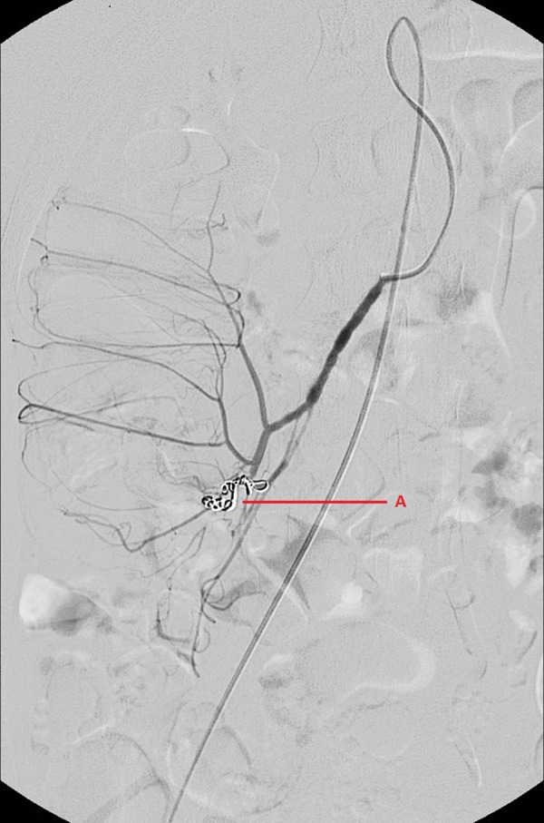 Figure 5