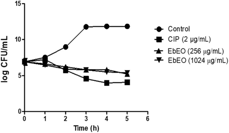 FIGURE 1