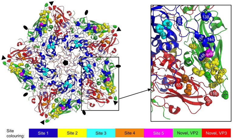 Figure 7