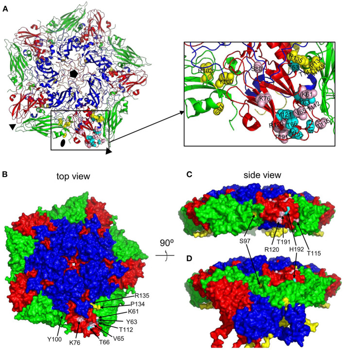 Figure 4