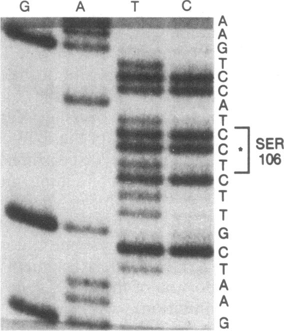 graphic file with name pnas00331-0207-c.jpg