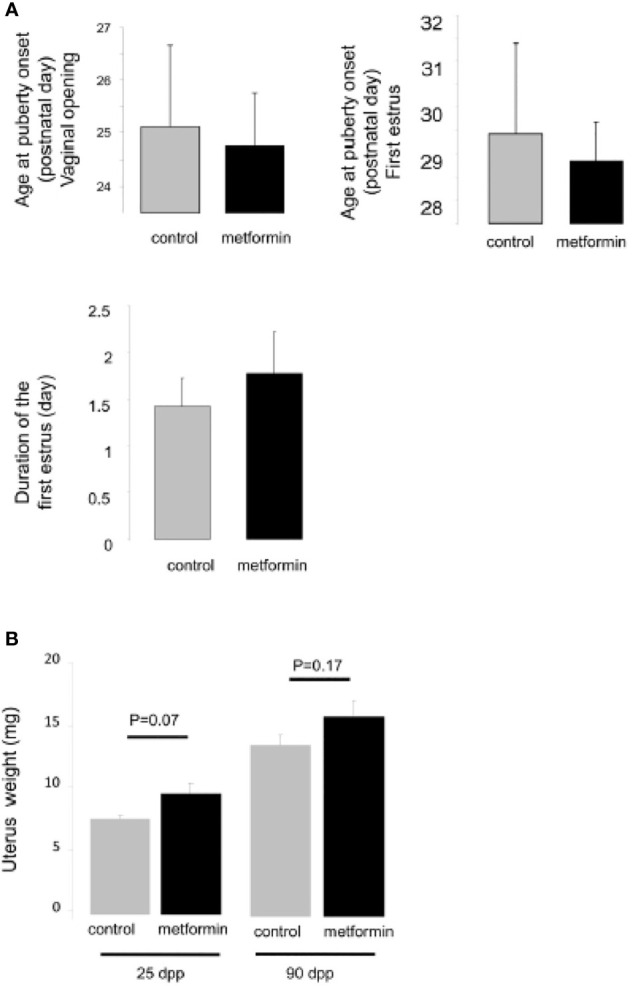 Figure 6