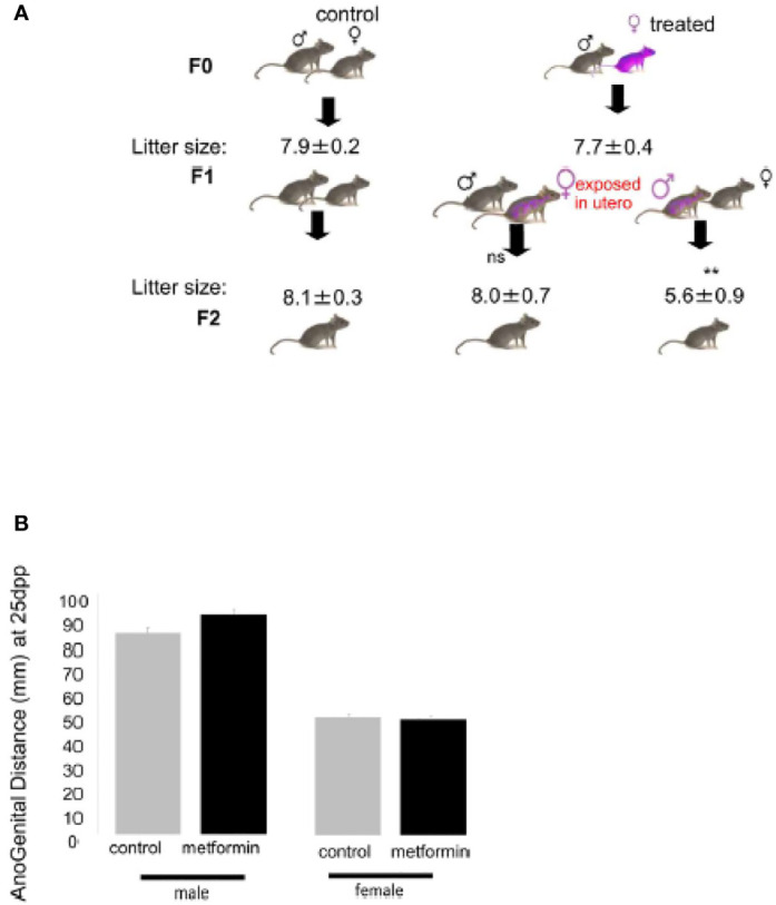 Figure 5