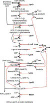 Fig. 2