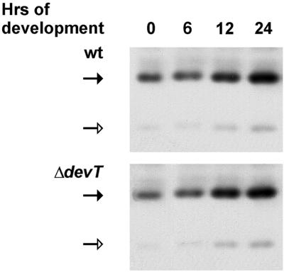 FIG. 5.