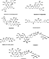 Fig. 3