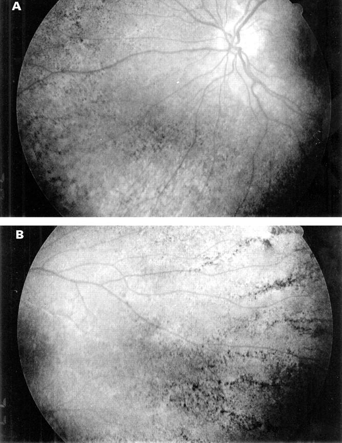 Figure 1  